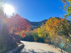 -北京鹫峰国家森林公园