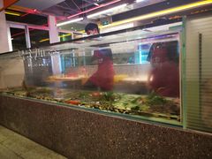 -令狐冲烤鱼·烧菜馆(达明店)