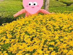 -呈贡滇池生态湿地公园