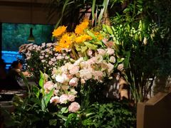 -春暖花开(西溪店)