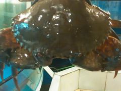 android_upload_pic-七欣天香辣蟹火锅(武义壶山广场店)