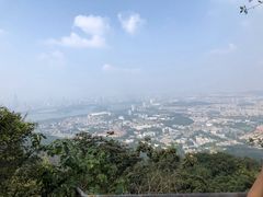 -紫金山山顶公园