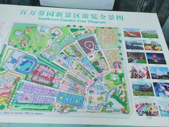 -百万葵园