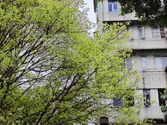 -晓港公园