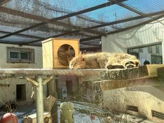 -青藏高原野生动物园