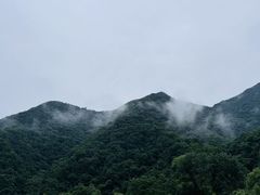 -关山草原