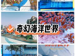 -海合安成都极地海洋公园