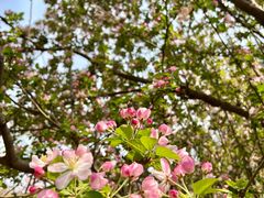 -元大都城垣遗址公园