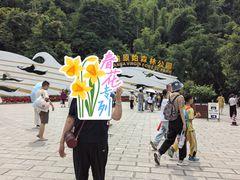 -西双版纳原始森林公园