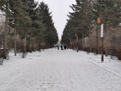 -长春市南湖公园