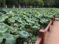 -南通濠河风景名胜区