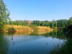 -淇河国家湿地公园