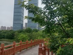 -艾溪湖湿地公园