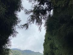 -九峰山