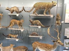 -浙江自然博物院(杭州馆)