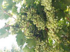 -中华圣公会教堂旧址