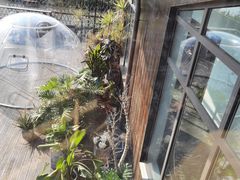 -昆山城市生态森林公园