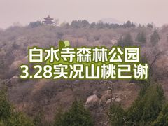 -白水寺森林公园