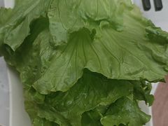 -羊故事·西北融合菜(华侨城店)