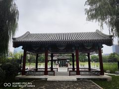 -西海子公园