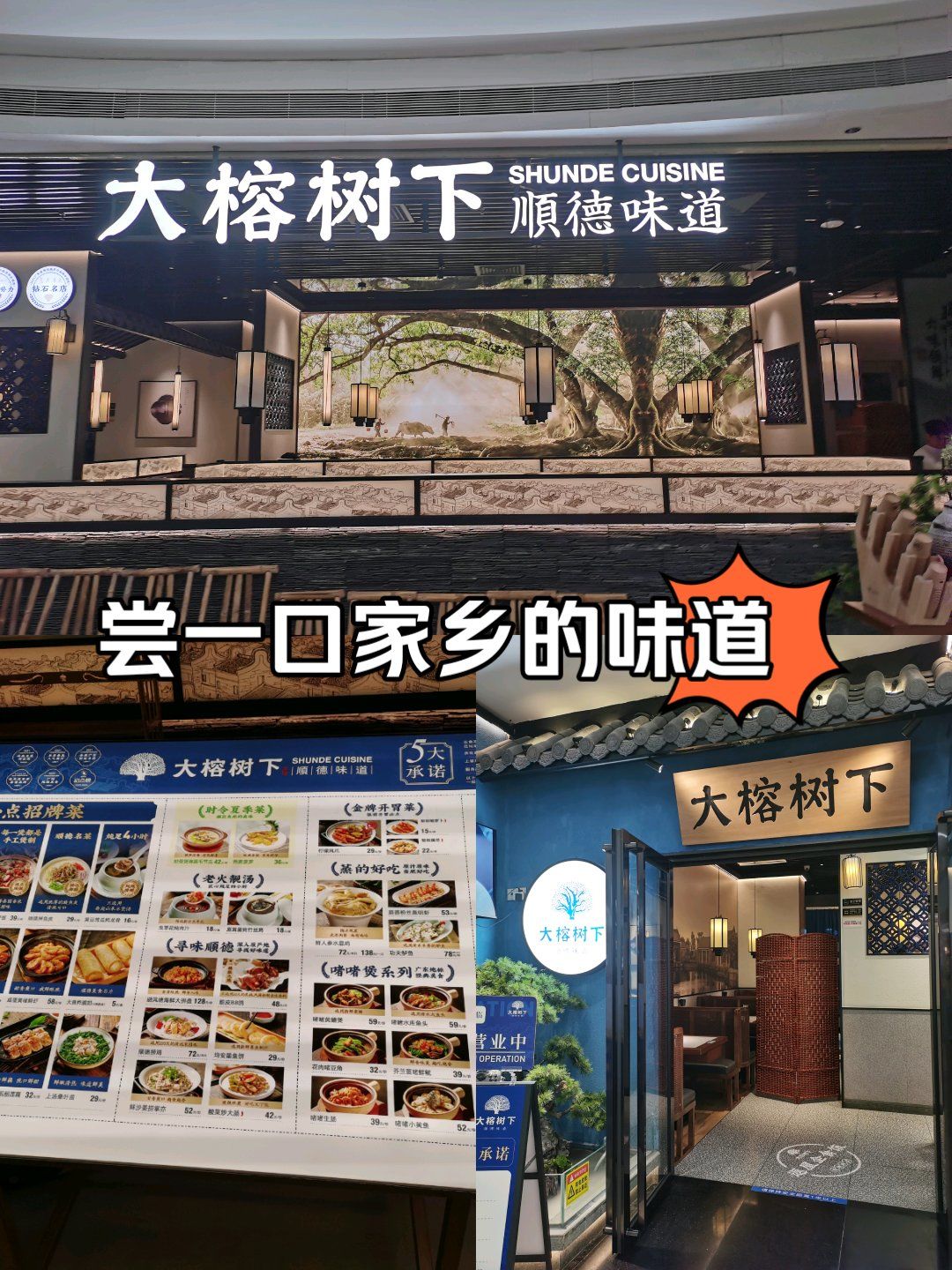 食顺德菜就来大榕树下