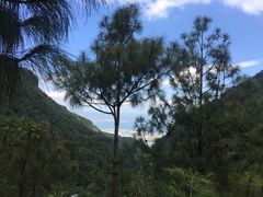 -苍山感通索道