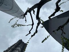 -陆家嘴空中步行连廊