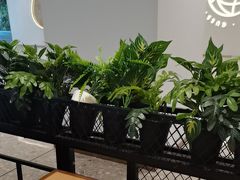 -大师兄·手工面·西北菜(珠海环宇城店)