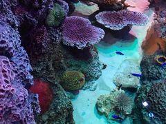 -沈阳海洋探索中心