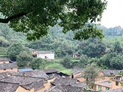 -杨家堂村