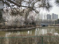 -长白岛森林公园