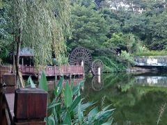 -重庆彩云湖湿地公园