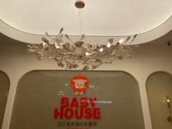 -宝贝家族国际影像馆(高新店)
