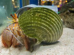 -太平洋海底世界