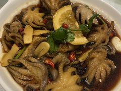捞汁八爪鱼-华盛丰温州大排档(东三环南路店)