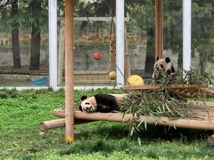 -西安秦岭野生动物园