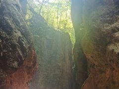 -牛背梁国家森林公园