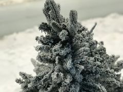 -世界之窗阿尔卑斯冰雪世界
