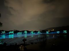 -长田漾湿地公园