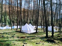 -硗碛藏寨·神木垒景区