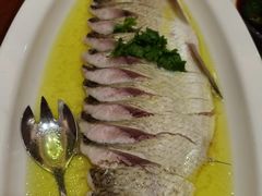 -鲁宴·鲁煨黄河生态大鲤鱼(月坛店)