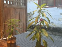 -阿木舂记·特色小吃(平江路店)