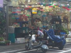 -溪岸路花鸟市场