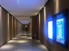 -百丽宫影城(CGS激光苏宁广场店)