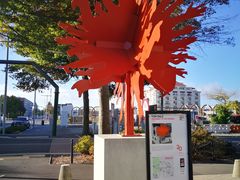 -Pedro's House of Lamb(基督城)