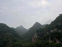 -大岭沟猕猴桃谷风景区