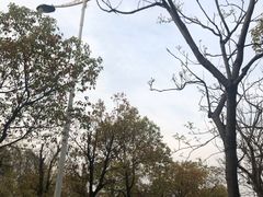 -美兰湖景区