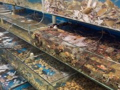-仙螺岛海鲜自助餐厅(总店)