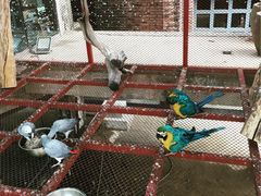 -元生咖啡(陶溪川店)