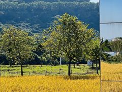 -风云岭森林公园